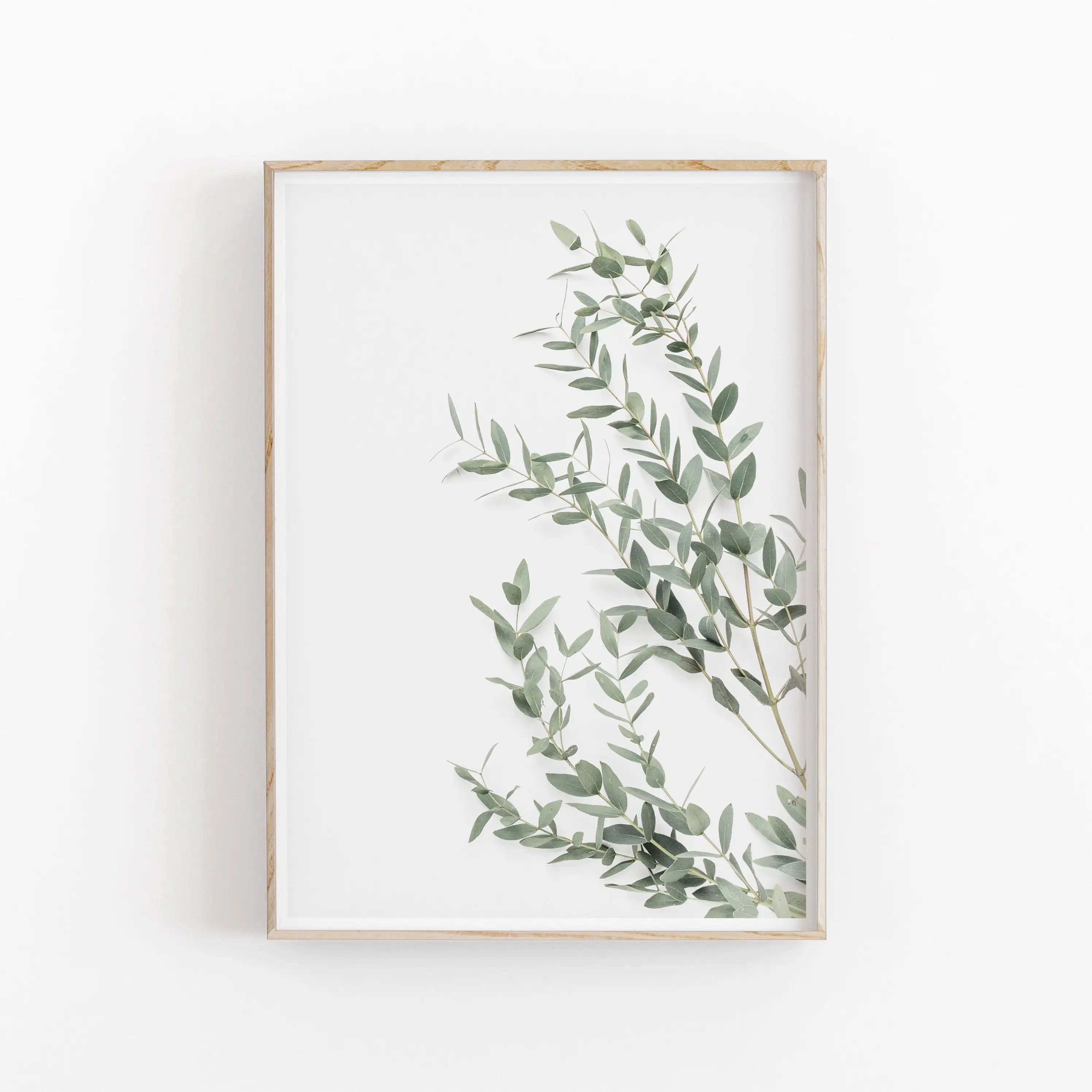 Minimalist Aesthetics Nordic Botanical Poster Canvas Painting Eucalyptus Palm Leaves Art Plant Printable Wall Decor