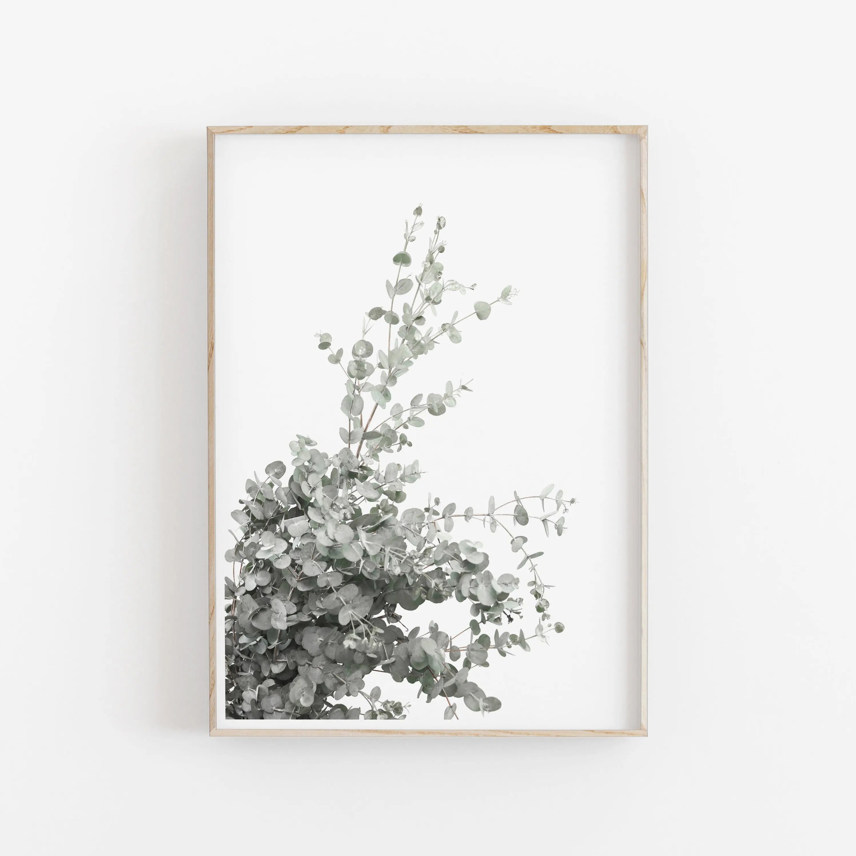 Minimalist Aesthetics Nordic Botanical Poster Canvas Painting Eucalyptus Palm Leaves Art Plant Printable Wall Decor