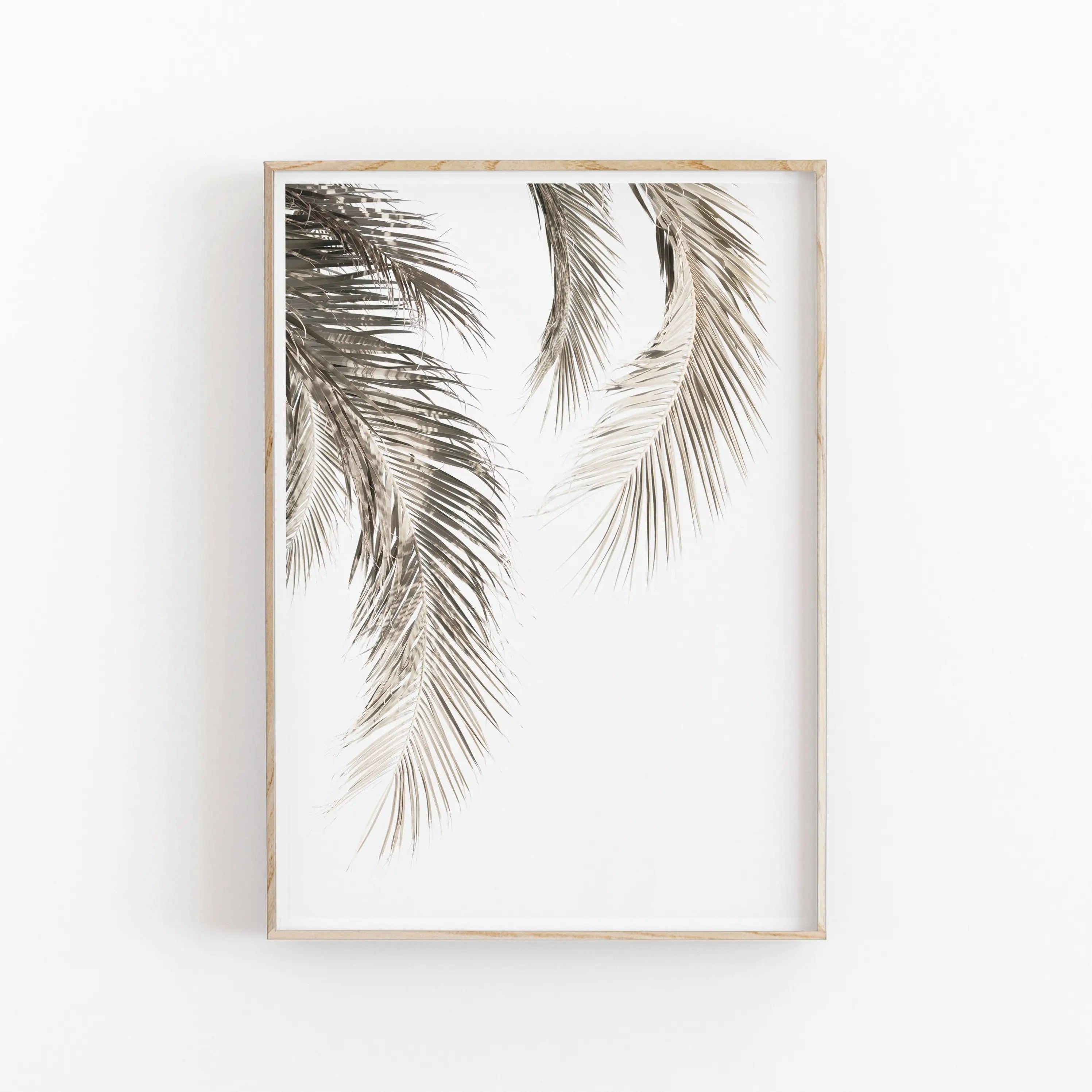 Minimalist Aesthetics Nordic Botanical Poster Canvas Painting Eucalyptus Palm Leaves Art Plant Printable Wall Decor