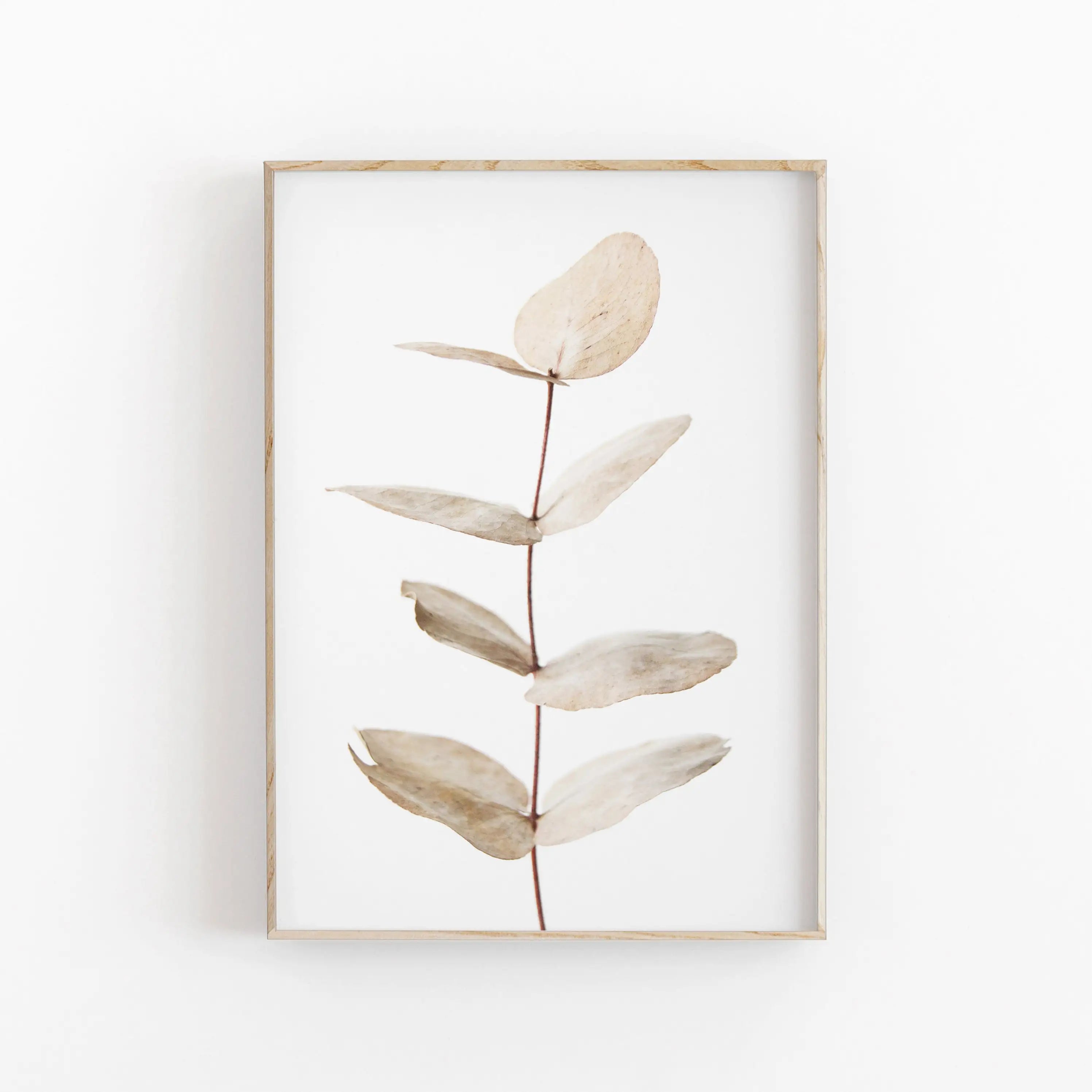 Minimalist Aesthetics Nordic Botanical Poster Canvas Painting Eucalyptus Palm Leaves Art Plant Printable Wall Decor
